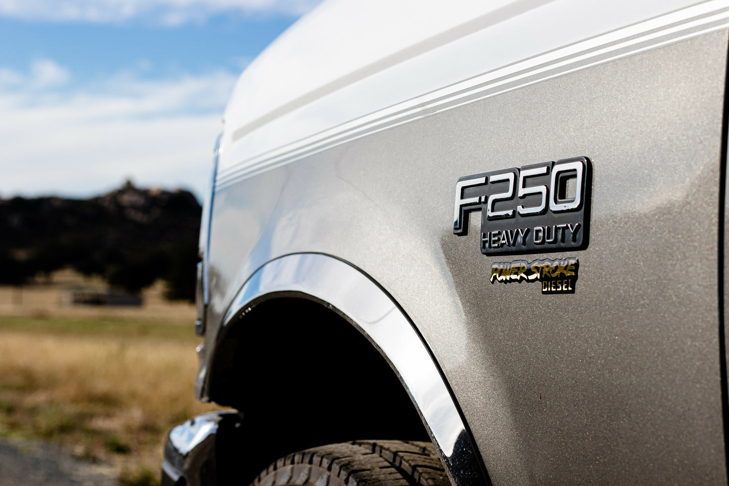(1994.5-1997) F-Series - PowerStroke Emblem