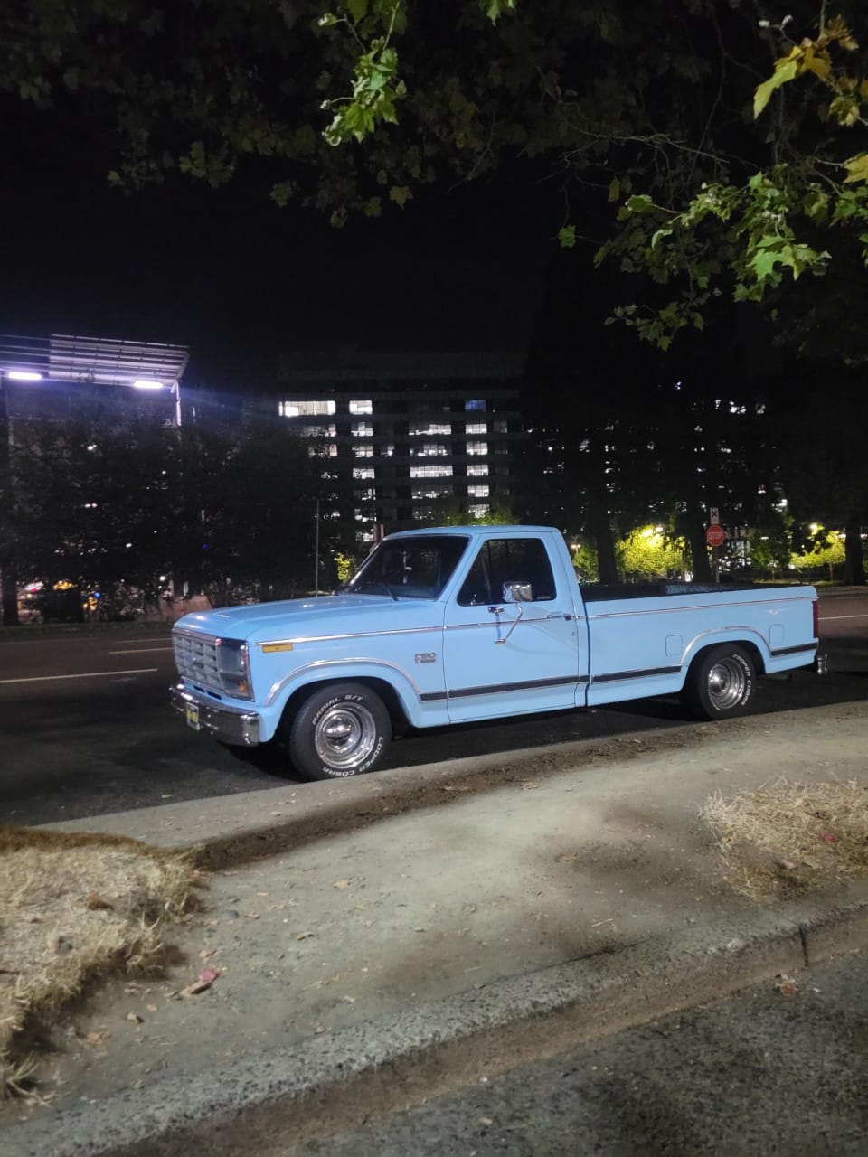 DJM Suspension F150 3/5 Lowering Kit - 1983-1986 Ford F-Series