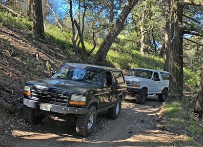 Ford Bronco Leveling Lift Kit, 1980-1996 Broncos and 4WD F-150s